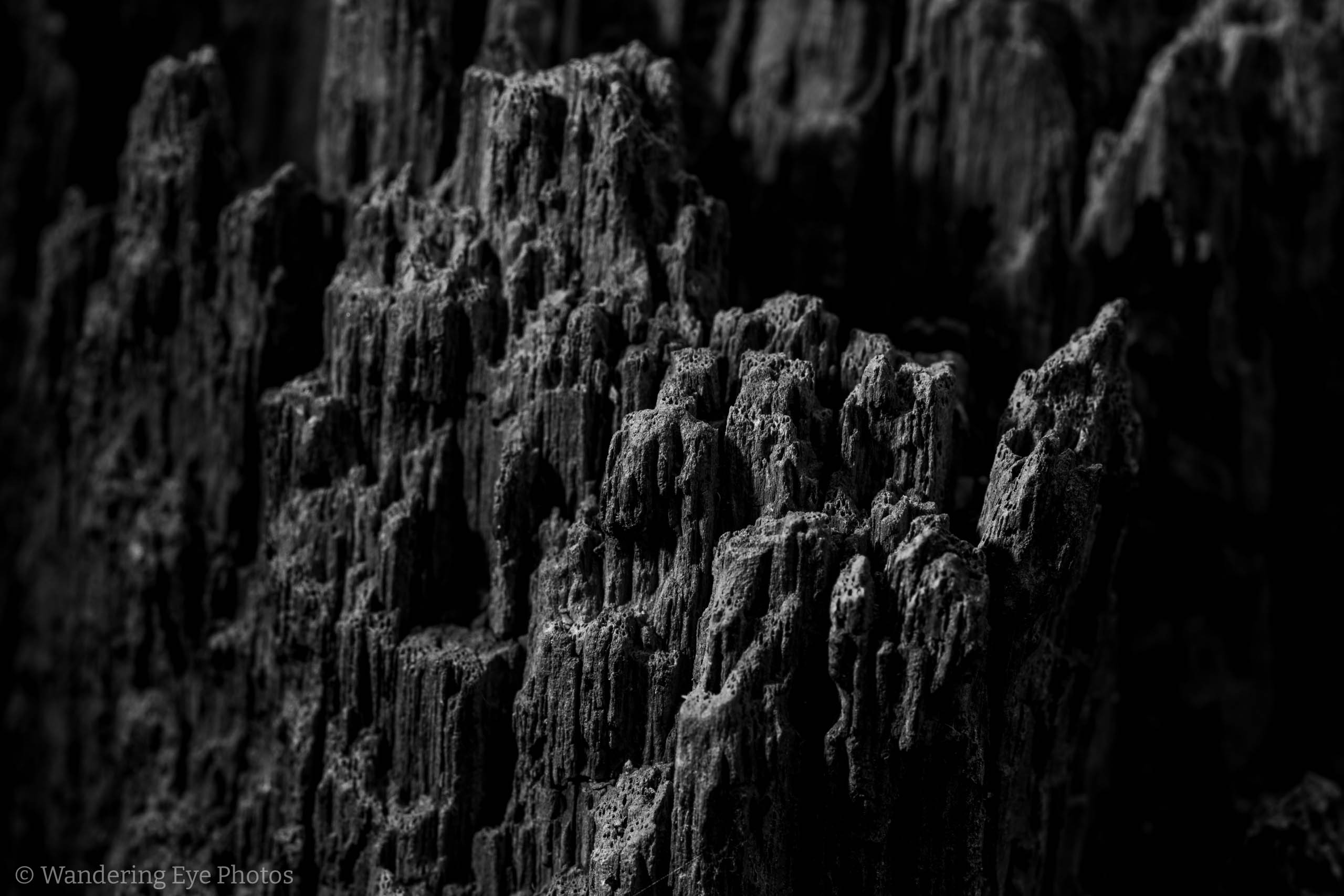 01.19 14.59.18   DSC07481